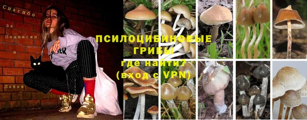 прущая мука Бородино