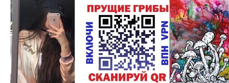 ссылка на мегу ССЫЛКА  Новоульяновск  Псилоцибиновые грибы прущие грибы 